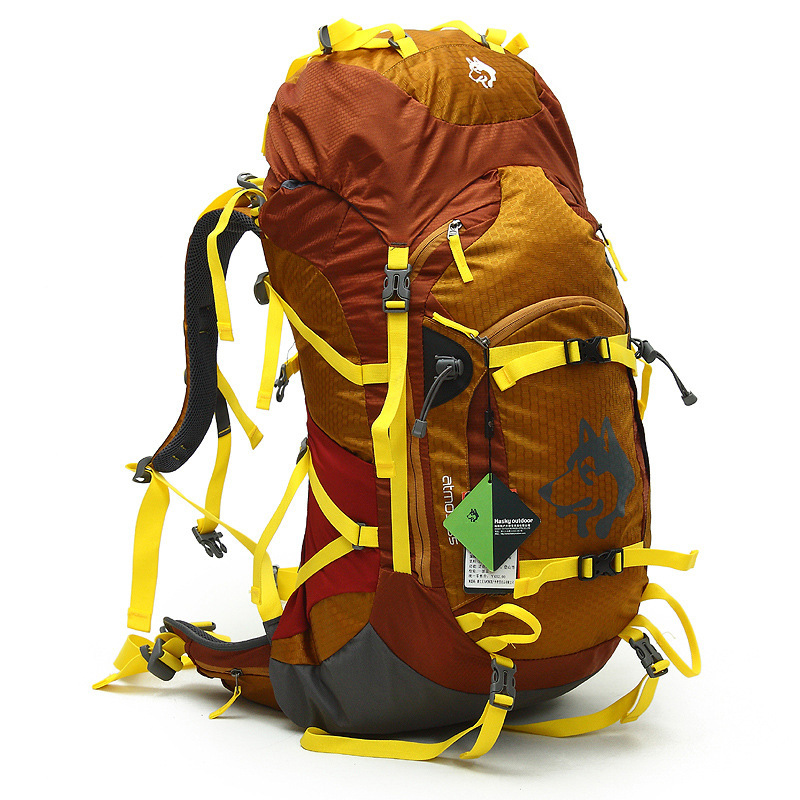 Jungle King outdoor camping ba - Cycling Commuter Backpack recension och pris